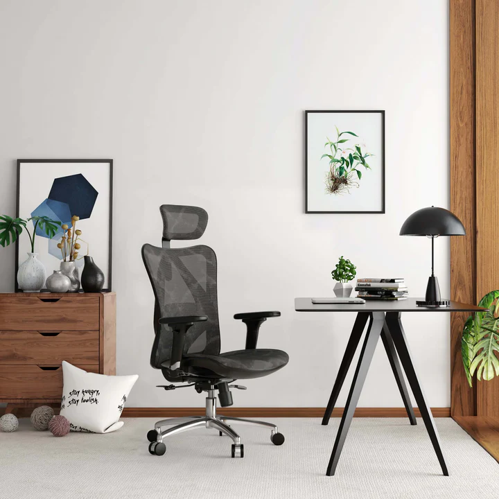 Ghế công thái học Sihoo M57 Grey h2
