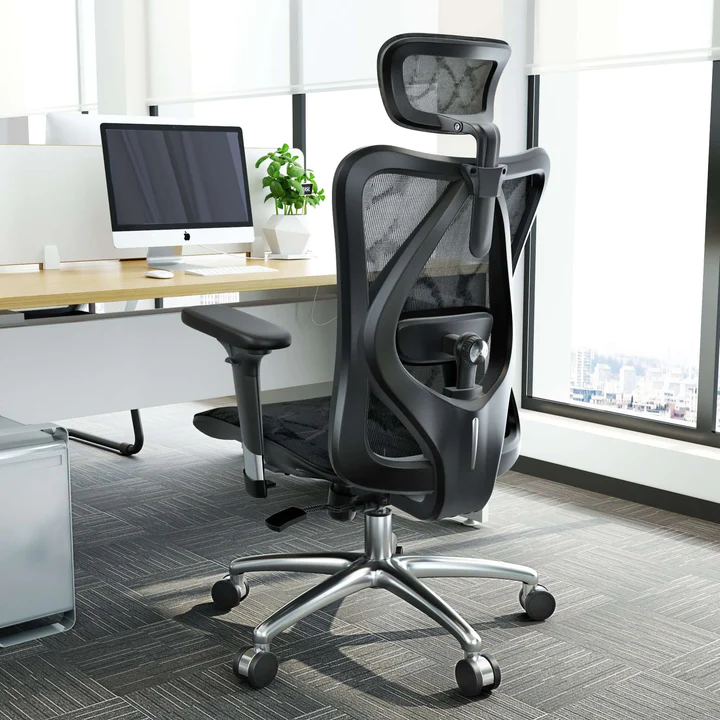 Ghế công thái học Sihoo M57 Grey h1