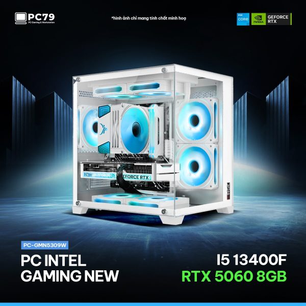 PC GAMING GMN5309W - I5 13400F - RTX 5060 - RAM 16G