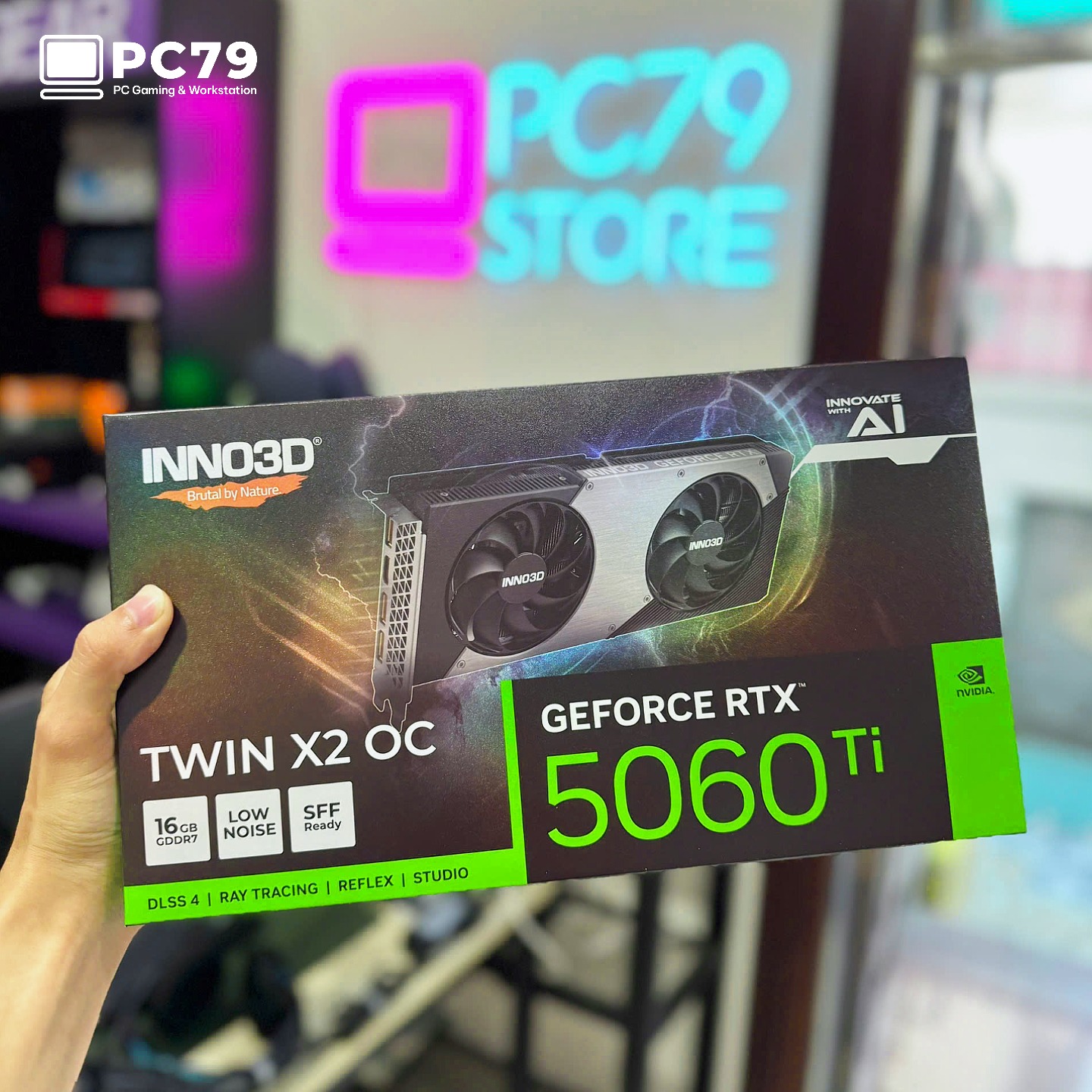 VGA NVIDIA GeForce