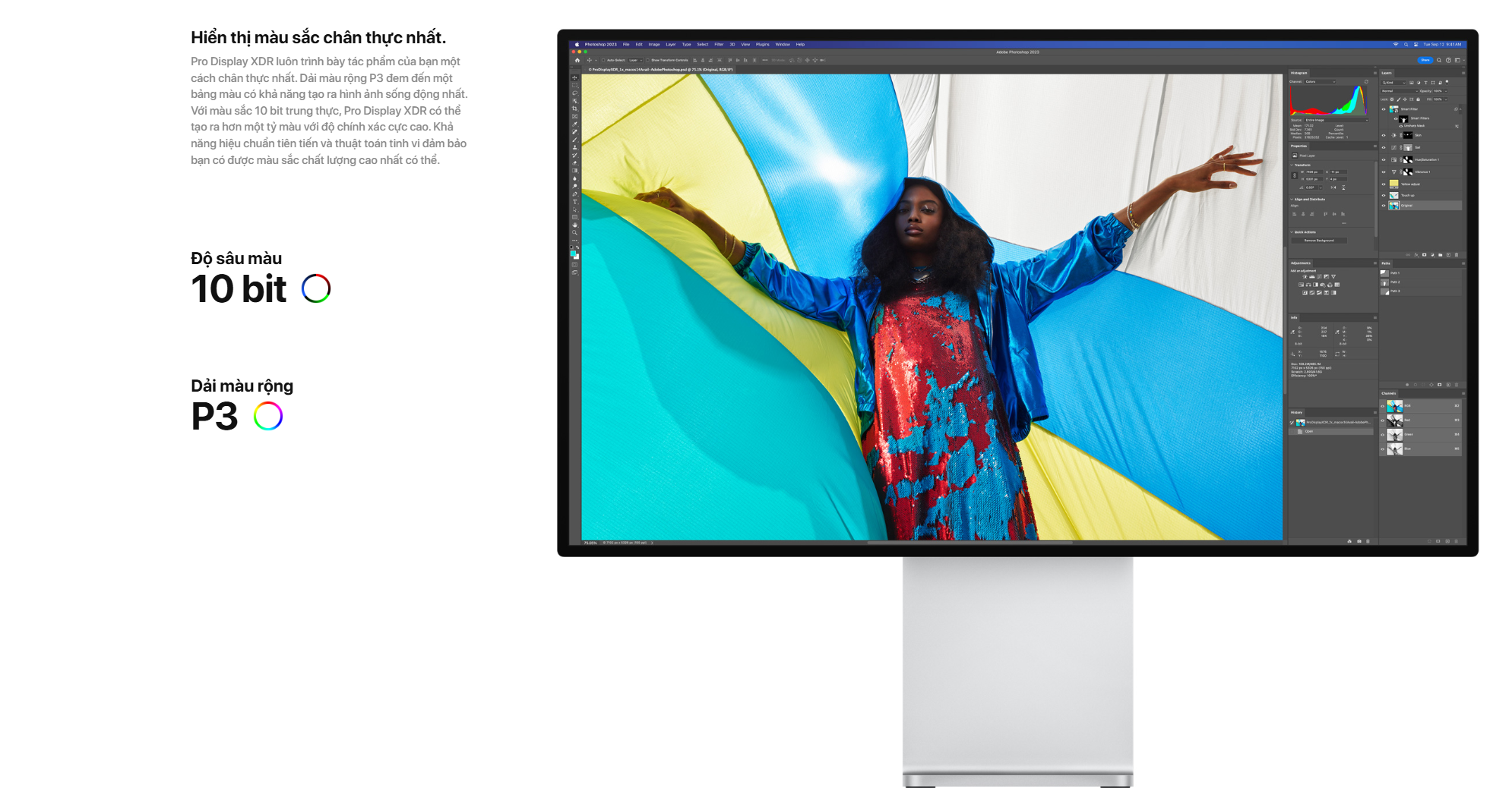 Màn hình Apple Pro Display XDR Nano